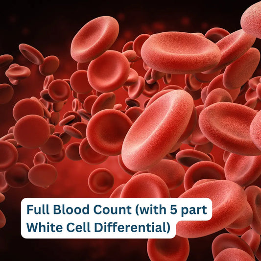 Full Blood Count (with 5 part White Cell Differential) London Medical Laboratory